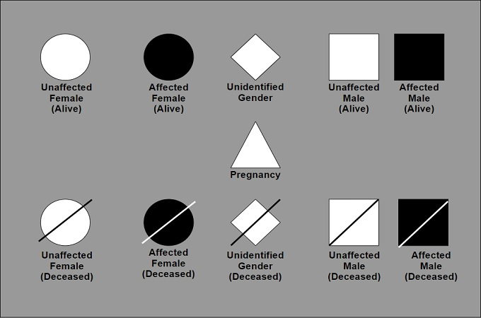 Pedigree Chart A Beginner S Guide Pedigree Chart Org Vrogue co
