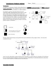Pedigree Chart Analysis pdf Summer Name Introductory Pedigree 