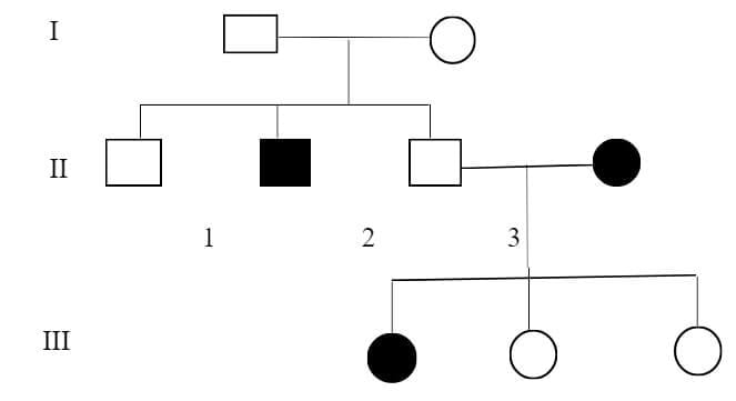 Pedigree Chart Definition Interpretation Symbols Significances