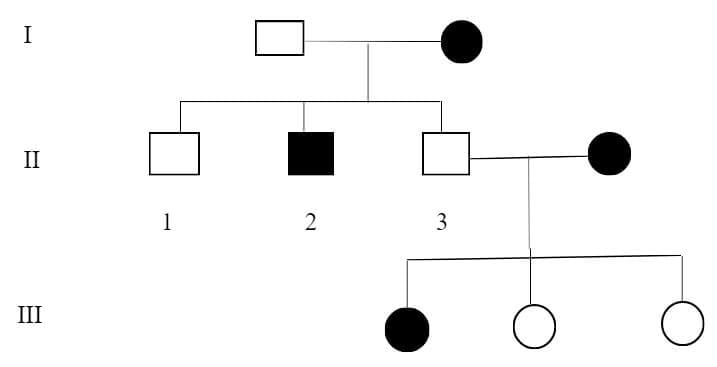 Pedigree Chart Definition Interpretation Symbols Significances