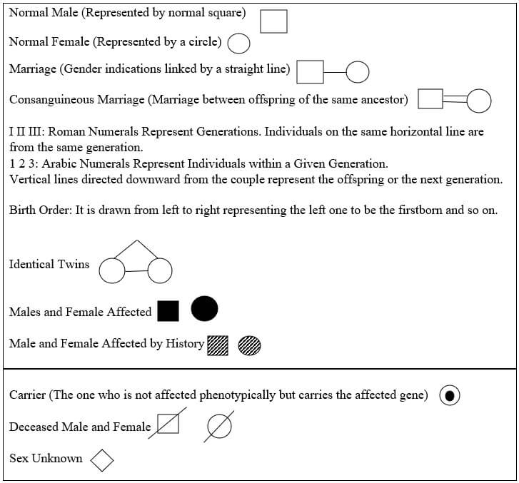 Pedigree Chart Definition Interpretation Symbols Significances