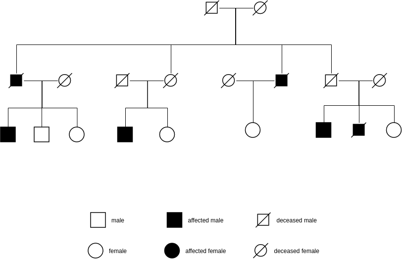 Pedigree Chart Example 1 Pedigree Chart Template