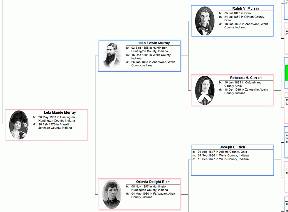 Pedigree Chart Examples