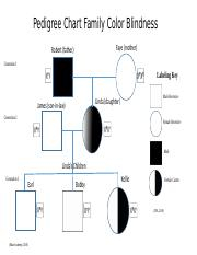 Pedigree Chart Family Color Blindness pptx Pedigree Chart Family 