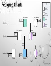 Pedigree Chart Family Color Blindness pptx Pedigree Chart Family 