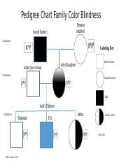 Pedigree Chart Family Color Blindness pptx Pedigree Chart Family 