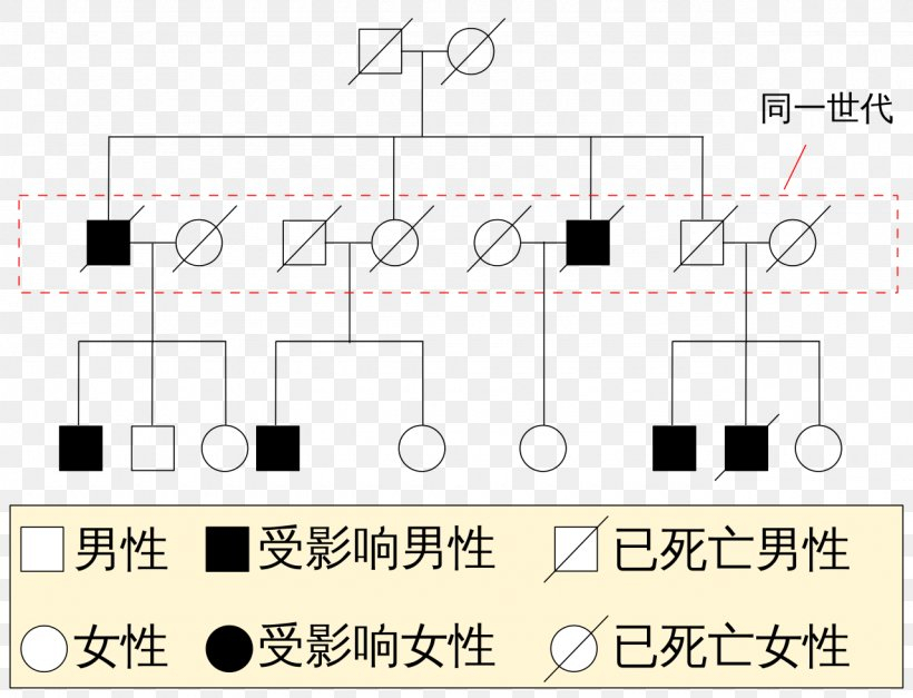 Pedigree Chart Genetic Disorder Klinefelter Syndrome Genetics PNG 