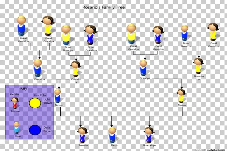 Pedigree Chart Genetics Phenotypic Trait Organism Family Tree PNG 