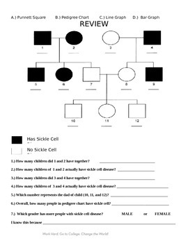 Pedigree Chart Lesson Plan Day 2 By BSF24 Teachers Pay Teachers