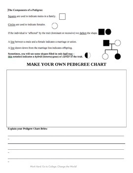 Pedigree Chart Lesson Plan Day 2 By BSF24 Teachers Pay Teachers