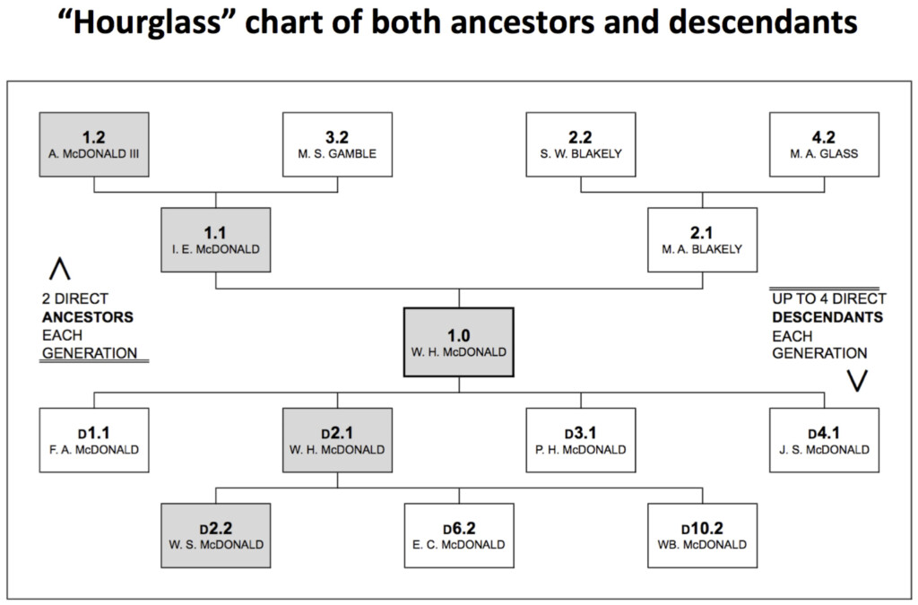 Pedigree Chart Numbering System Ponasa