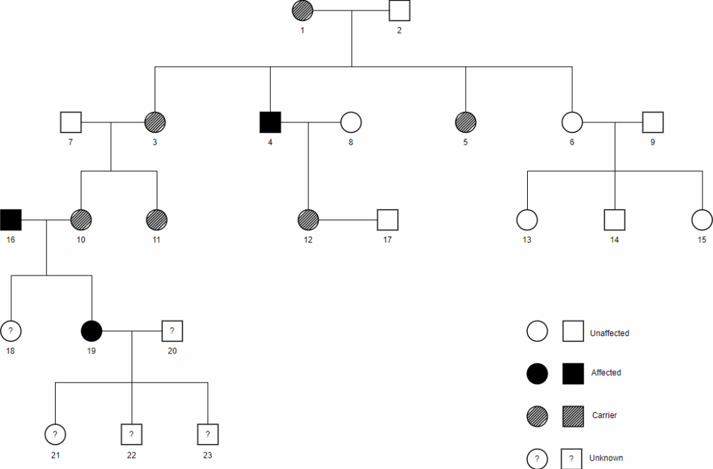 Pedigree Chart Pedigree Chart Chart Bar Chart Bank2home
