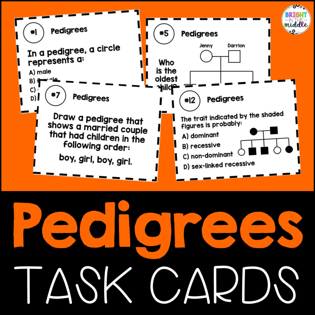 Pedigree Chart Practice Task Cards Bright In The Middle