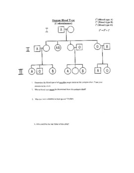 Pedigree Chart Problems Teaching Resources TPT