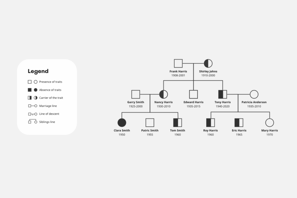 Pedigree Chart Template