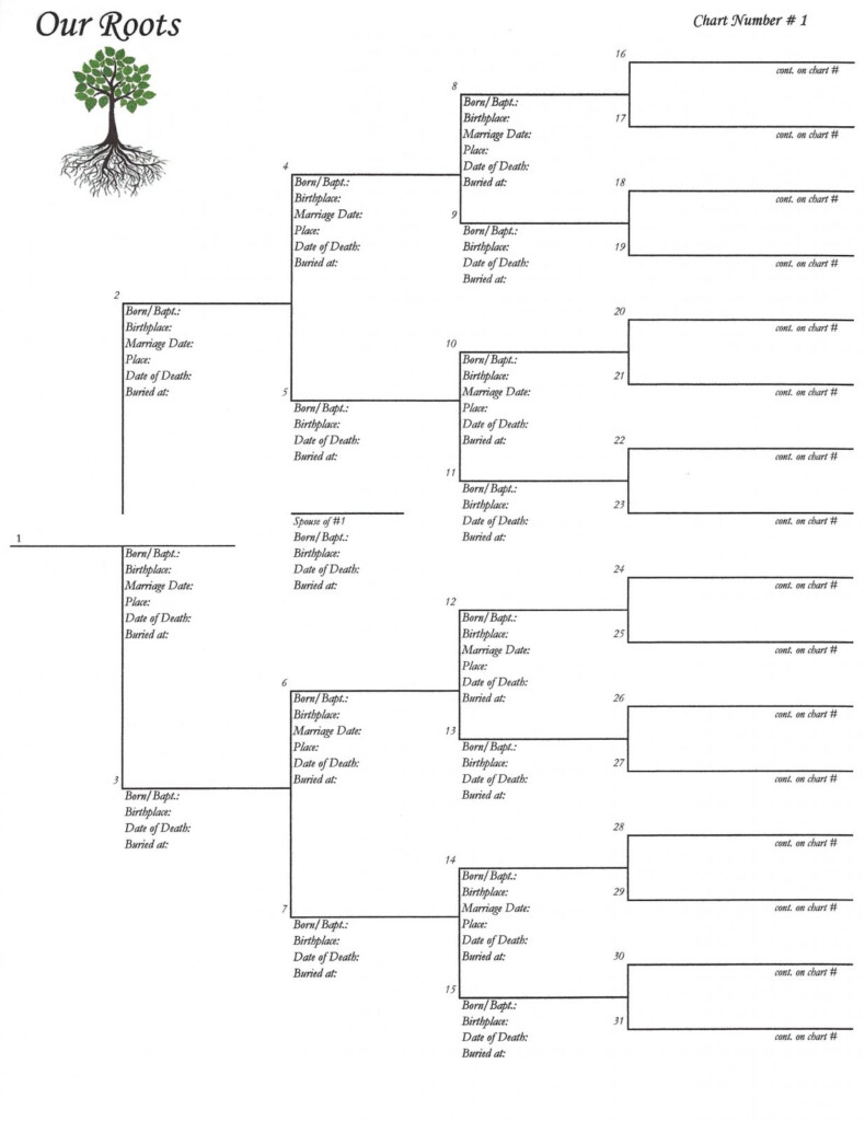 Pedigree Chart Template