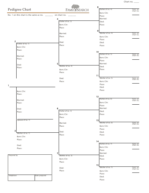 Pedigree Chart Template Family Search Download Printable PDF 