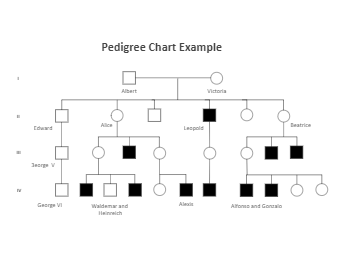 Pedigree Chart Templates EdrawMax Free Editable