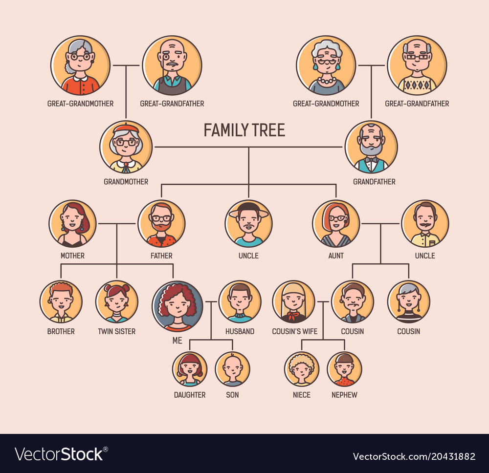 Pedigree Chart Vs Family Tree Pedigree Family Chart Tree Recessive 