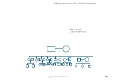 Pedigree Chart Widows Peak By Yosef Nome On Prezi