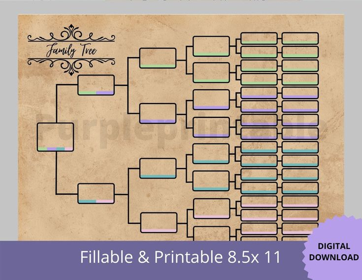 Pedigree Chart03 Color Coded 6 Generation Family Tree Chart Pedigree 