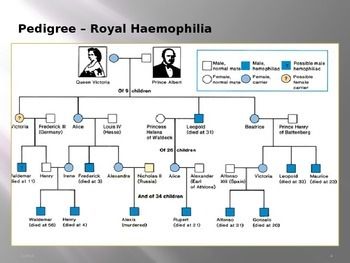 Pedigree Charts And Multiple Alleles TPT