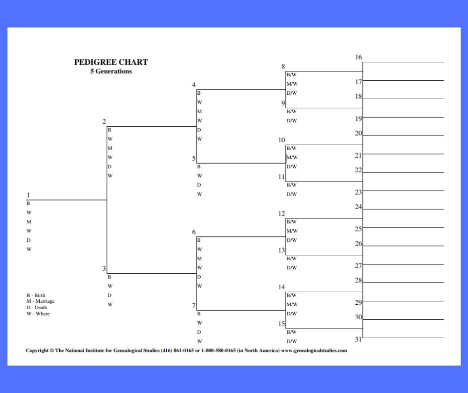 Pedigree Charts International Institute Of Genealogical Studies