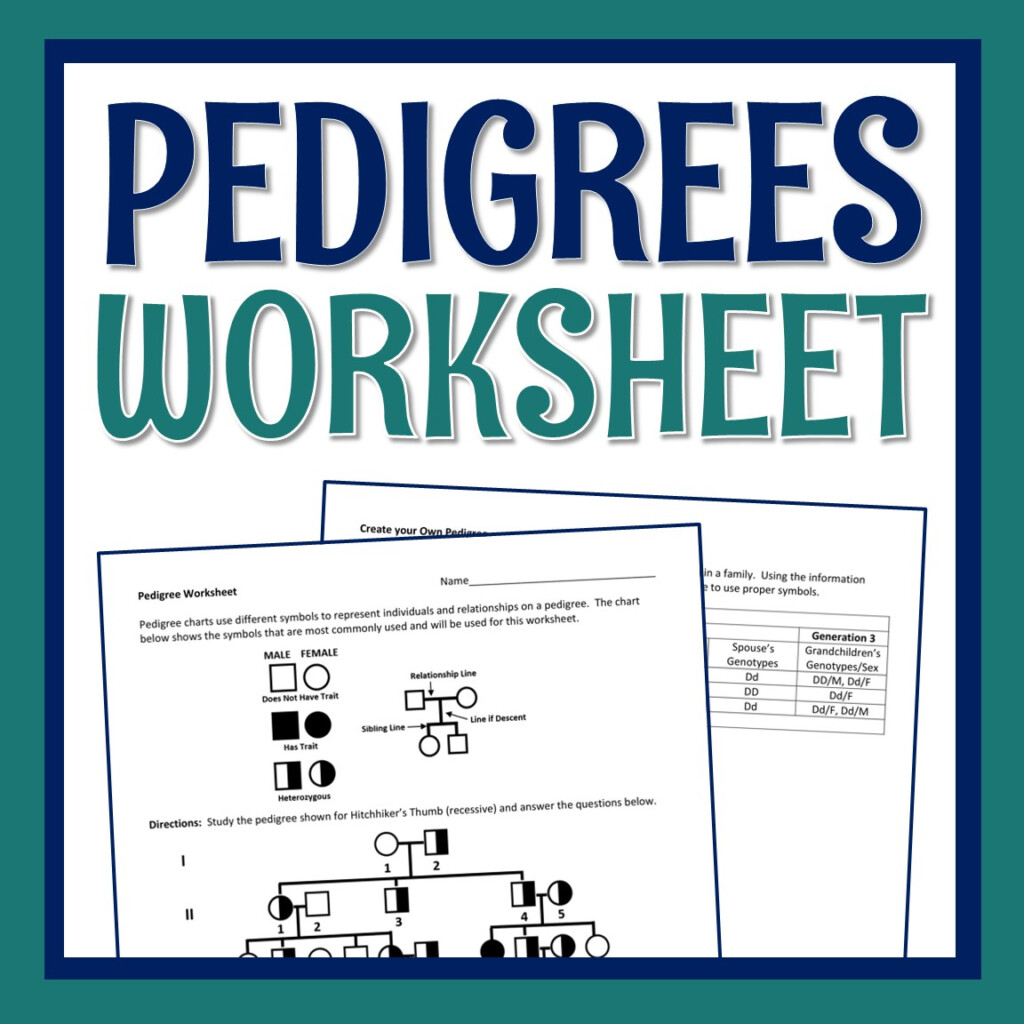 Pedigree Charts Worksheet Sixth Grade Science Twinkl USA 