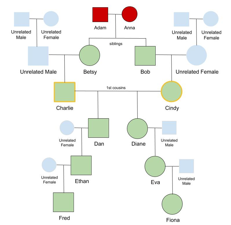 Pedigree Collapse And Your DNA Matches Your DNA Guide Diahan Southard