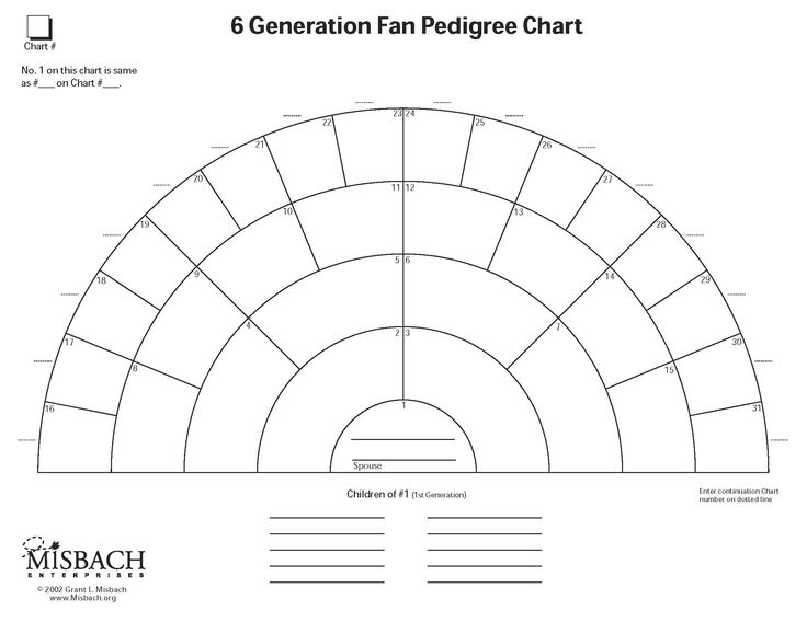 Pedigree fan Chart Pedigree Chart Genealogy Chart Family Tree Chart