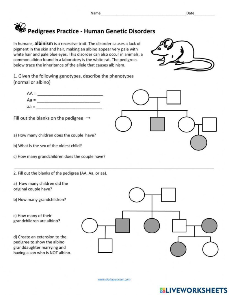 Pedigree Inquiry Worksheet Answers Fill Online Printable 