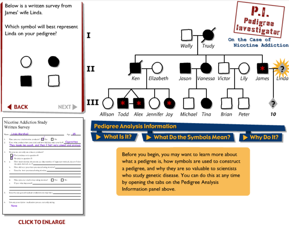 Pedigree Investigator Play Online On Flash Museum 