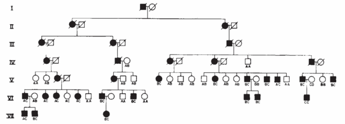 Pedigree Of The Venezuelan Huntington 39 s Disease Family Learn Science 