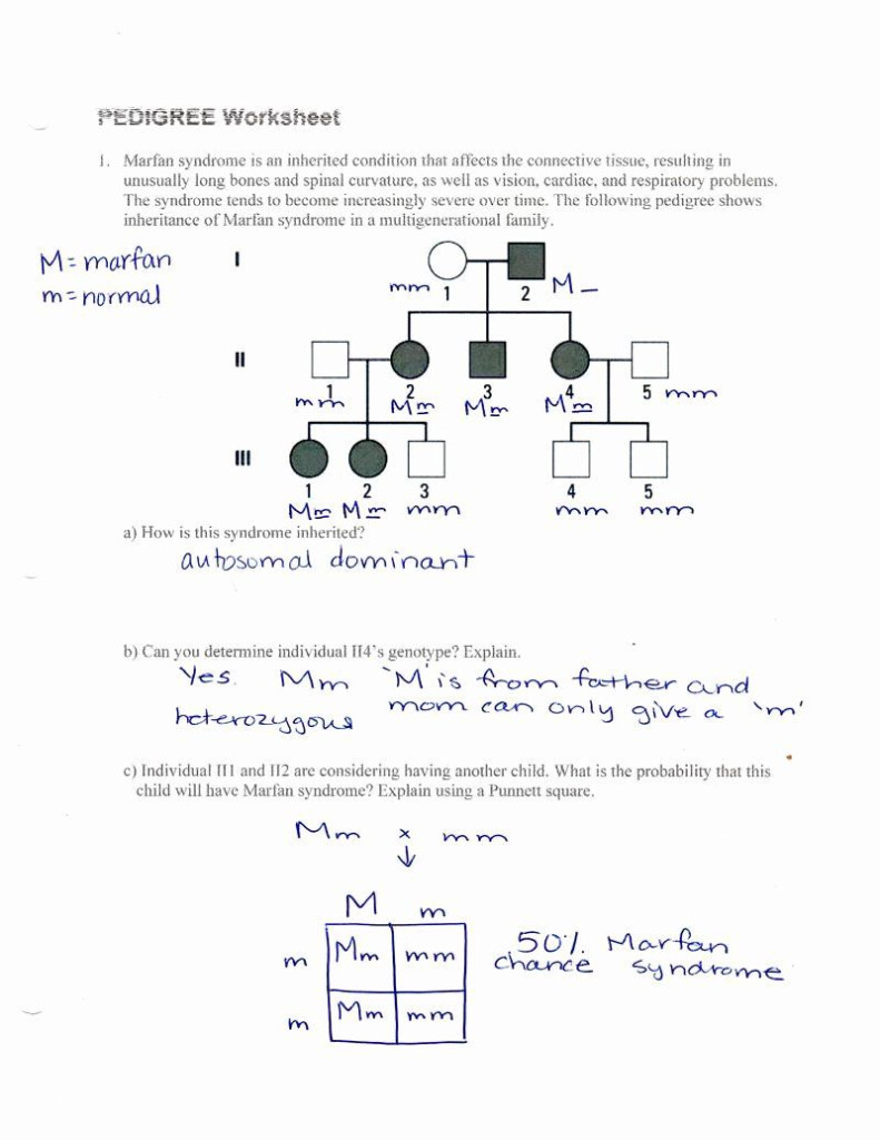Pedigree Practice Worksheet Answer Key