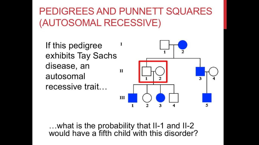 Pedigree Problems And Answers