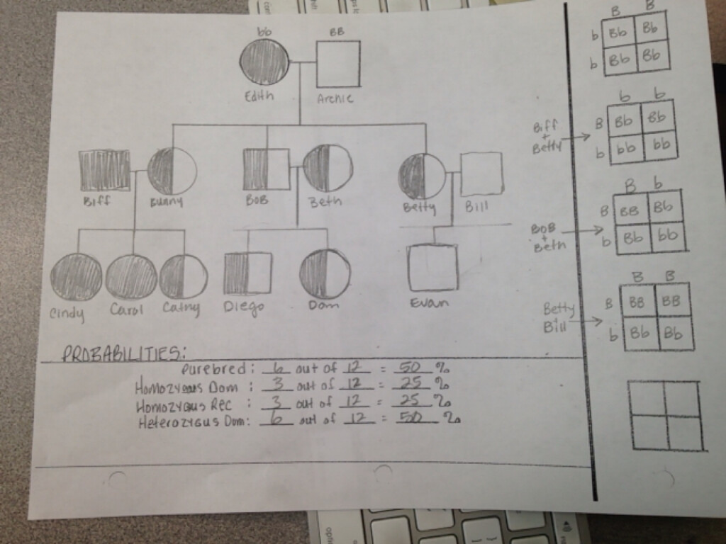 Pedigree Project Sulli 39 s Science Site