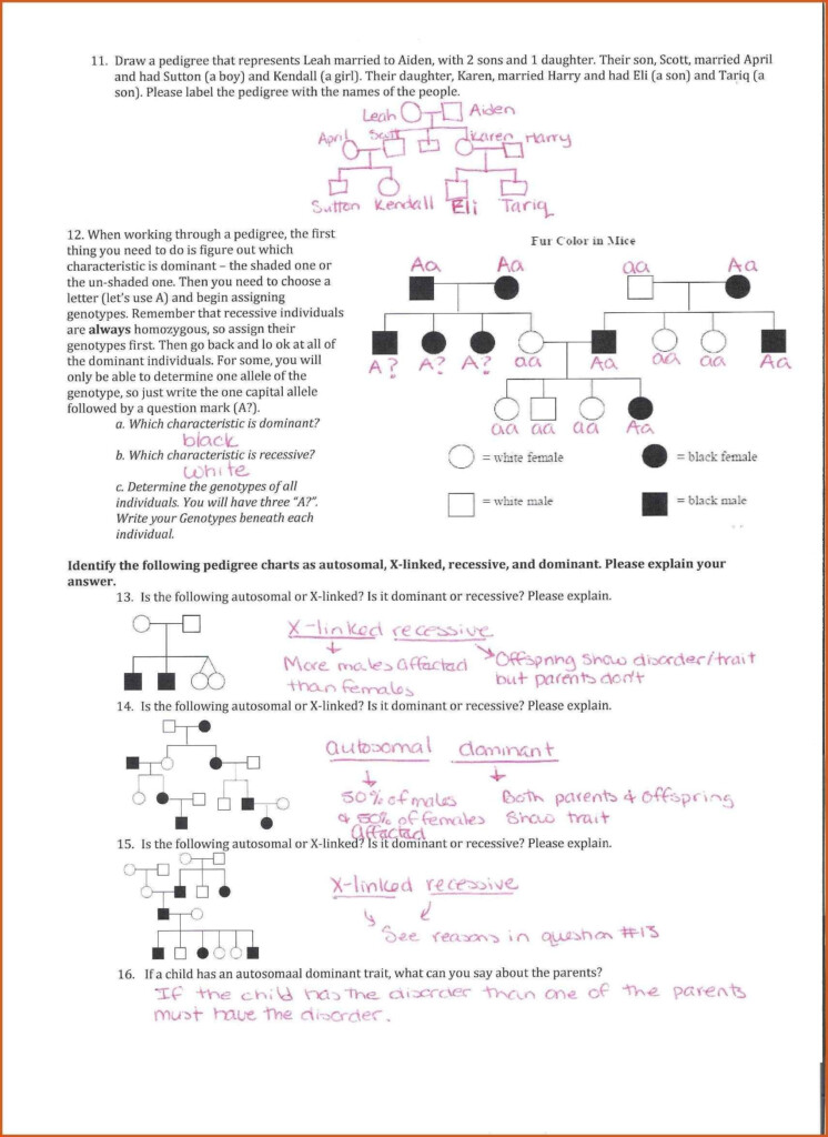 Pedigree Questions With Answers