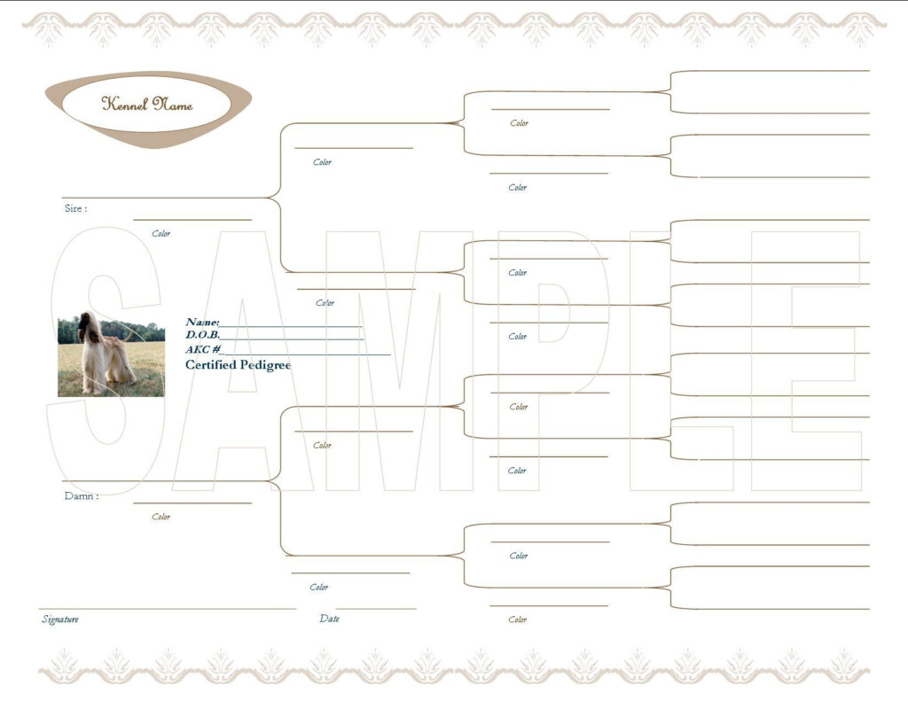 Pedigree Template For Dogs Most Often With Dogs Pedigree Charts Are 