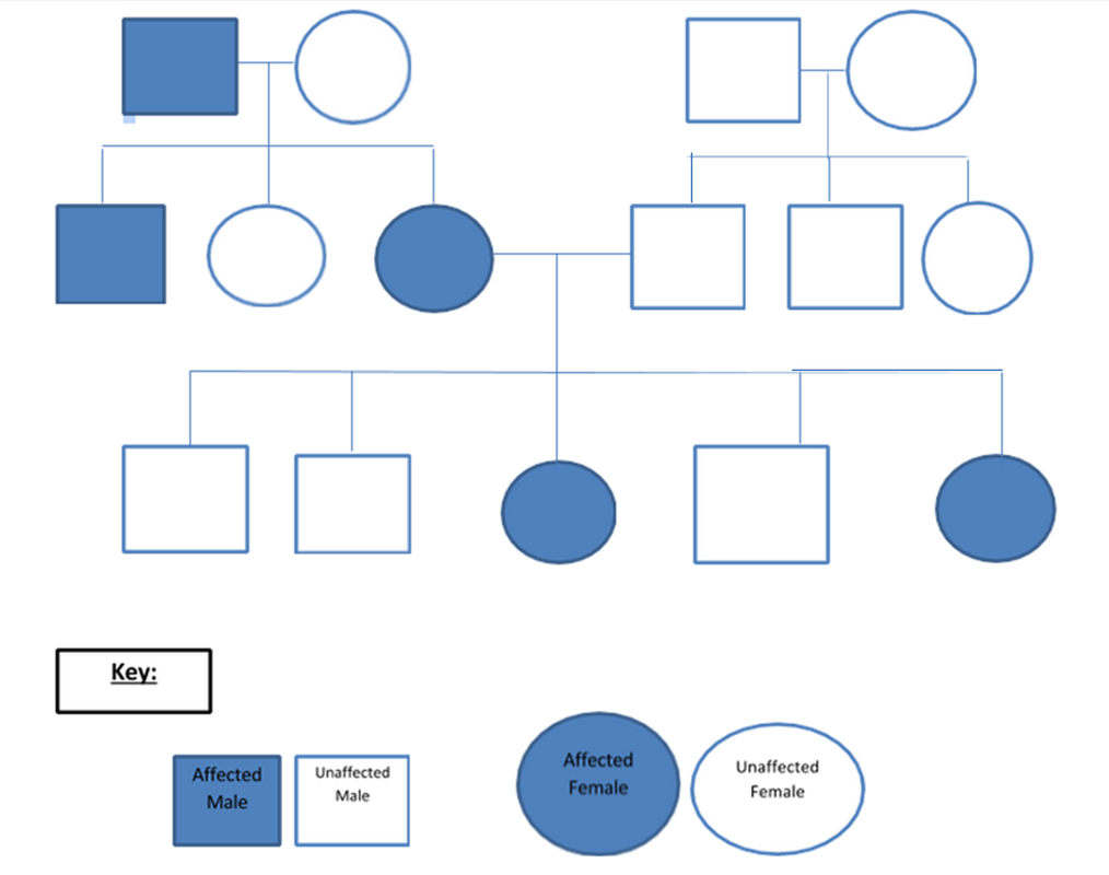Pedigree Williams Syndrome
