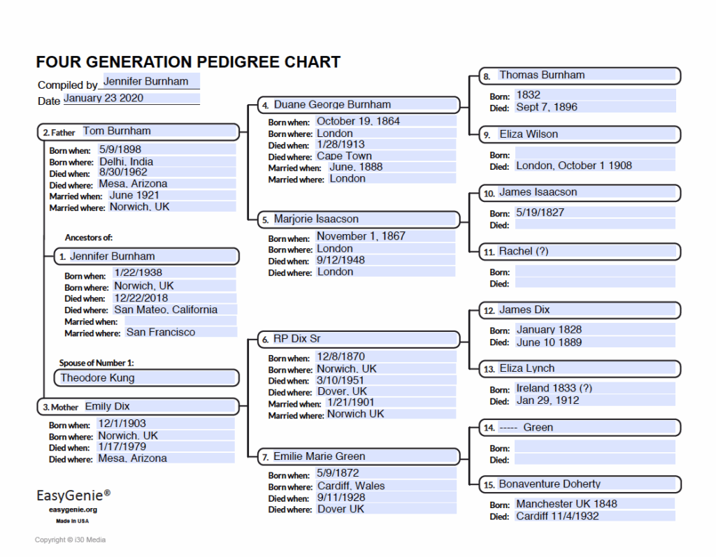 Pedigree Worksheet PDF Set LARGE PRINT Fillable Pedigree Chart 