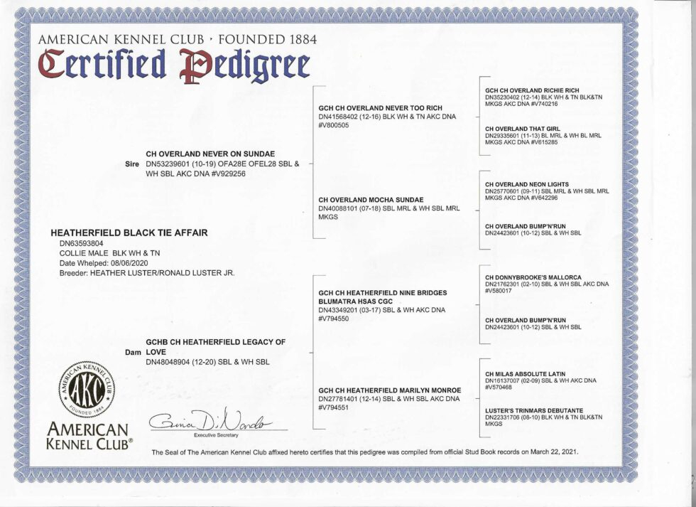 Pedigrees Heatherfield Collies