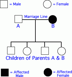 Pedigrees