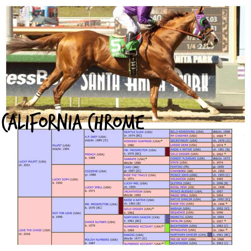 Pin By Pipe Dreams On Paper On Pipe Dreams On Paper California Chrome 