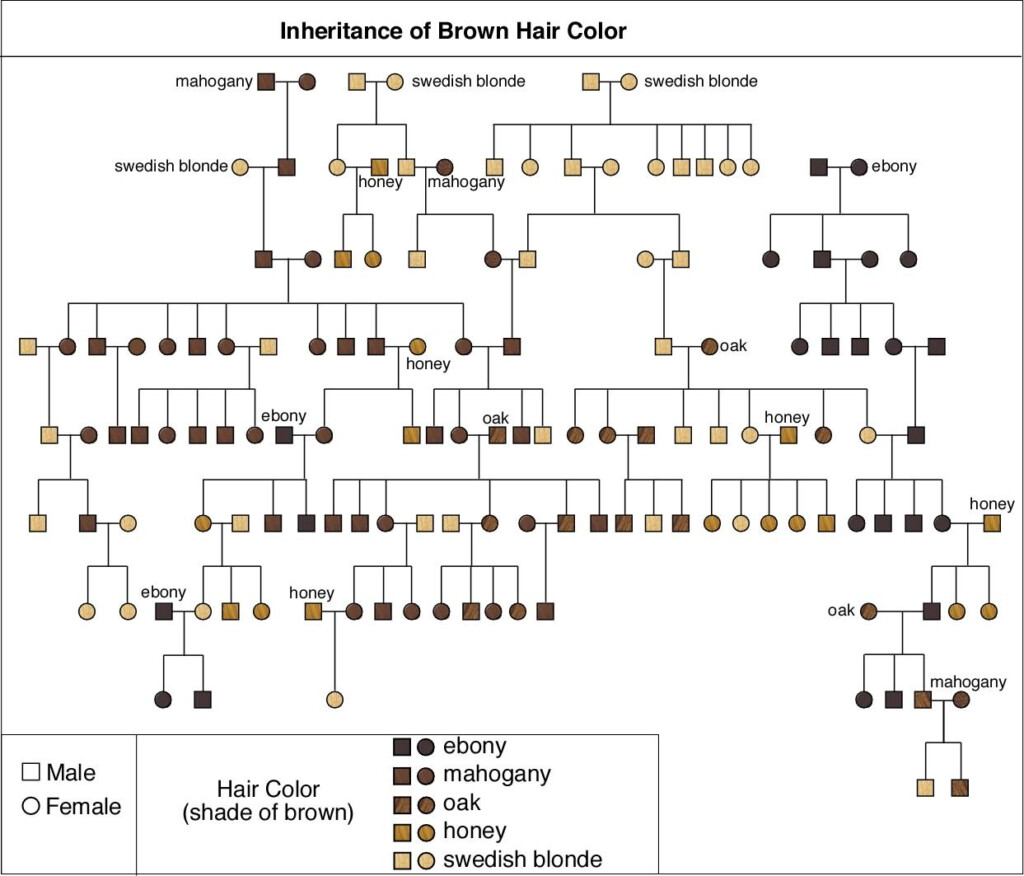 Pin On Genealogy