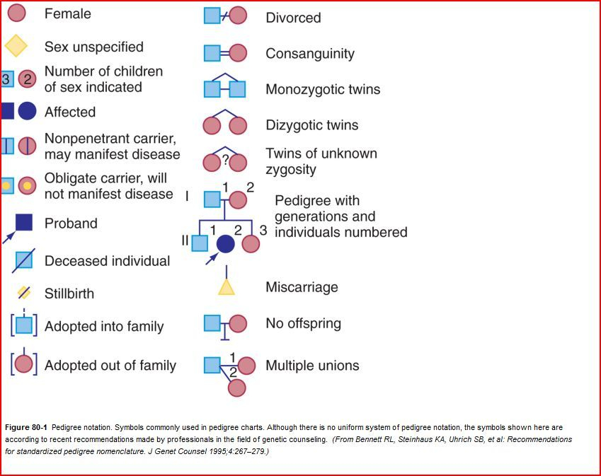Pin On Genetics