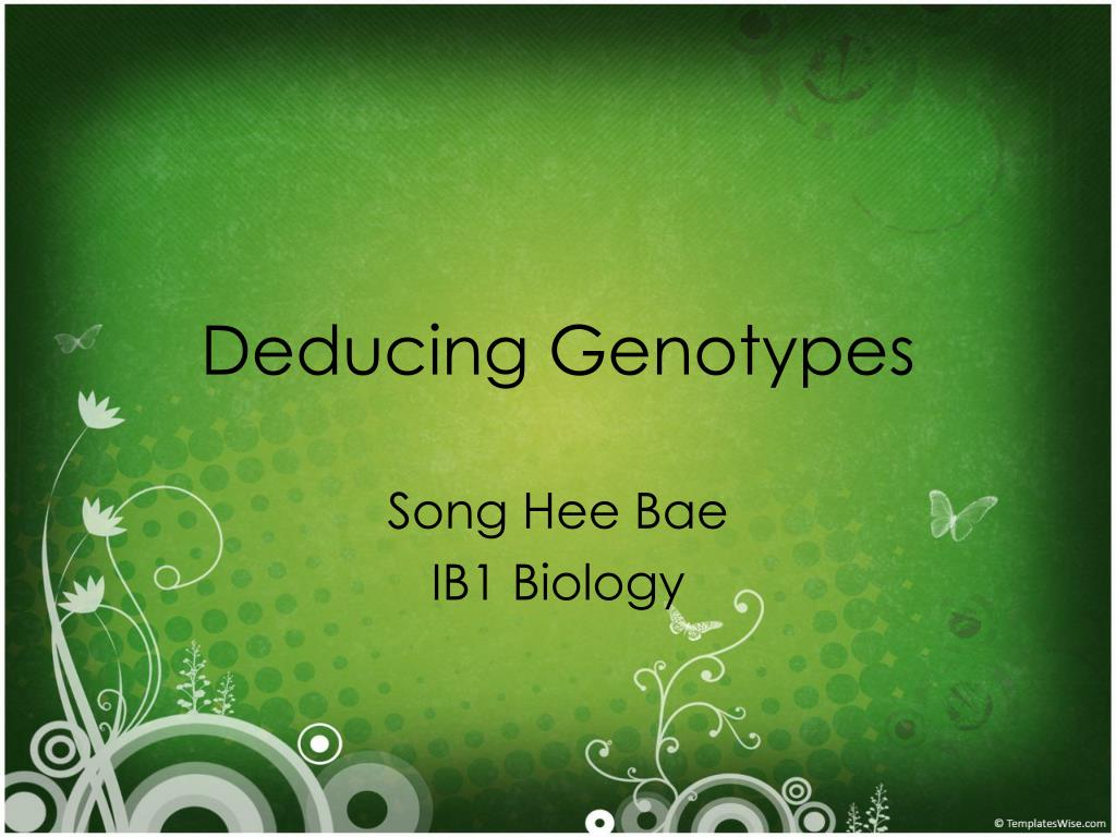 PPT Deducing Genotypes PowerPoint Presentation Free Download ID 353561