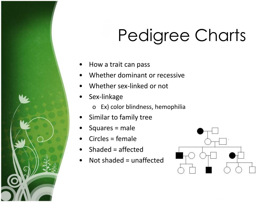 PPT Deducing Genotypes PowerPoint Presentation Free Download ID 353561