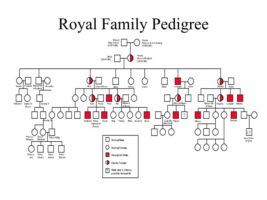 PPT Genetics Case Study The Royal Family PowerPoint Presentation 