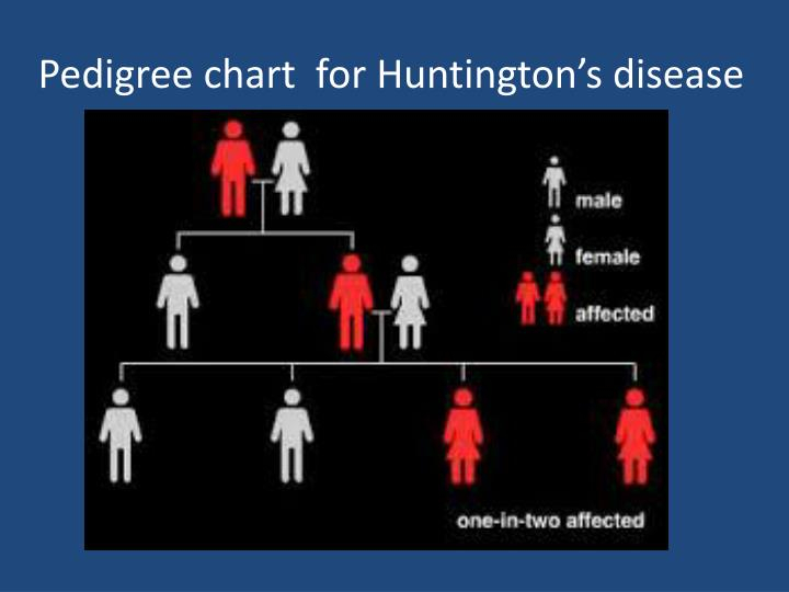 PPT Lethal Alleles PowerPoint Presentation ID 2420666