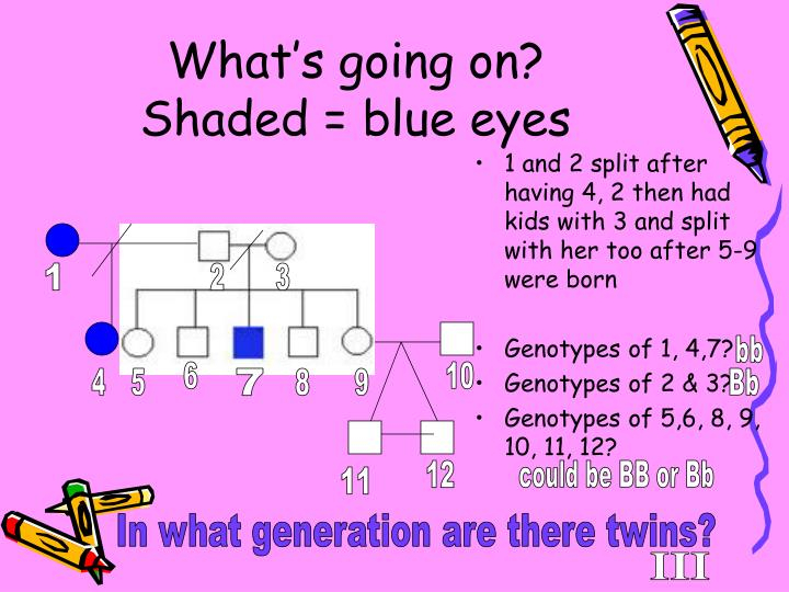 PPT Making A Pedigree Chart PowerPoint Presentation ID 5460402